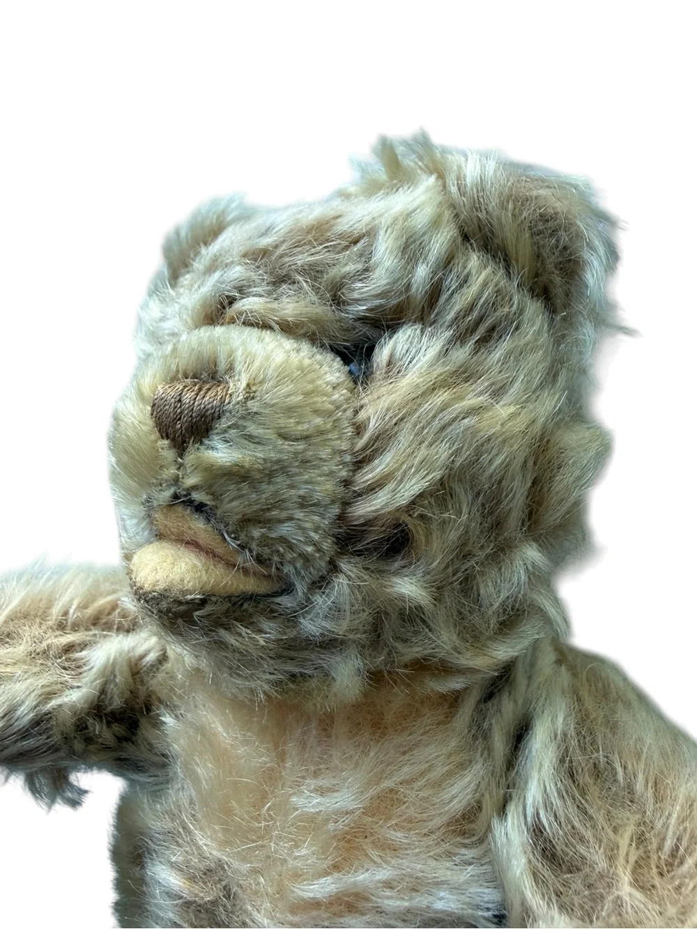 Vintage Steiff Zotty Teddy Bear Mohair Stuffed Animal Jointed Antique Germany